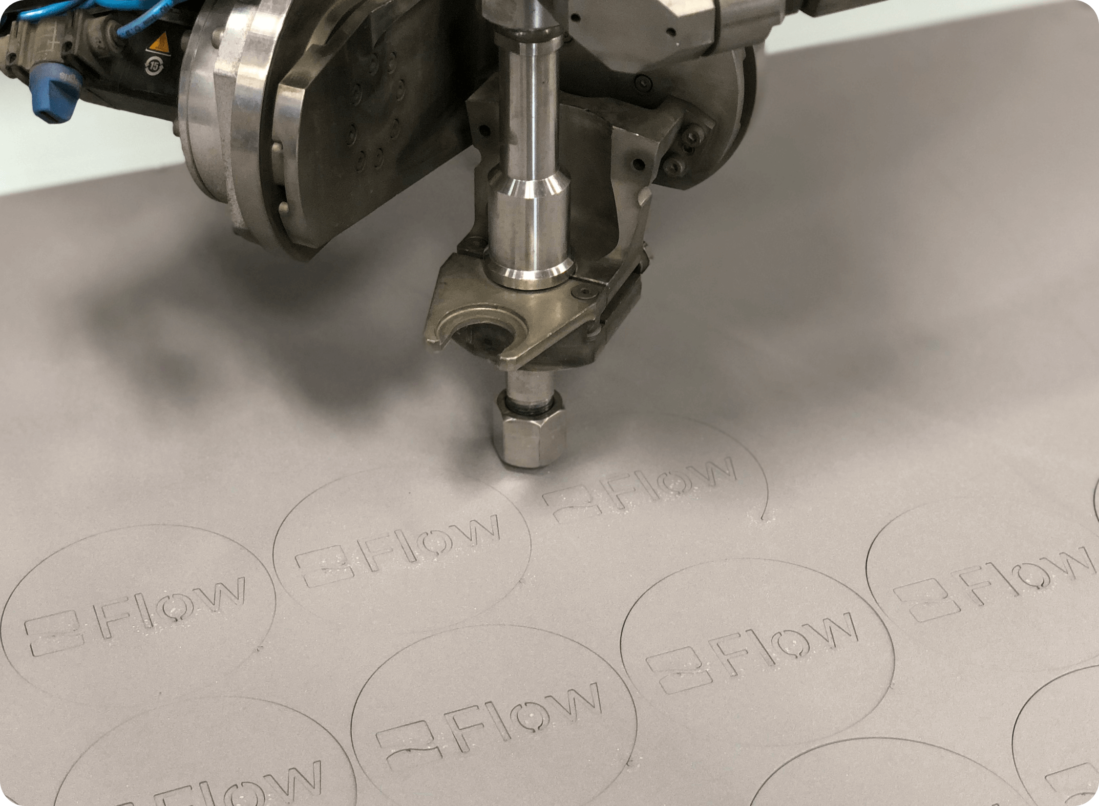 Rein für Geschwindigkeit entwickelt